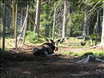 Sweden 2006-07 231